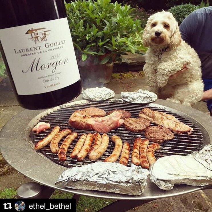 ThormanHunt's tweet photo. #Repost @ethel_bethel
・・・
BBQ & Beaujolais Sunday
#thcompetition @thormanhunt
•
#wine #winestagram #bbq #dog #cavapoochon @flockandherd https://t.co/pahBh4r4kn
