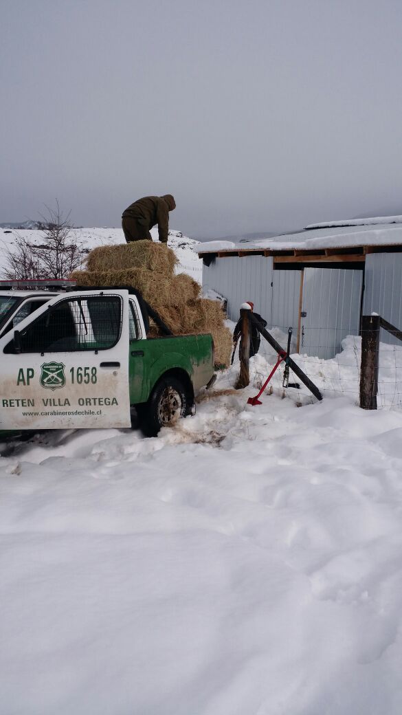 Carabdechile's tweet photo. #Aysén: Carabineros Retén Villa Ortega se abre paso a través de la nieve y llega con ayuda para familias y el ganado en zonas rurales https://t.co/J4EKLtF8NC