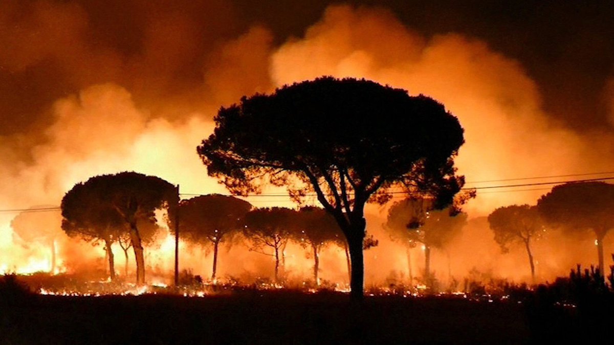 Con el corazón roto,que impotencia,qué pena.Madre mía del Rocio protege a todos esos valientes que están luchando contra el incendio
#Doñana