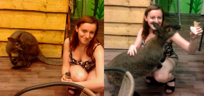 TinaOfficial1's tweet photo. If you ever try black vanilla ice cream, don't forget to share it with a kangaroo! #thebeginningofabeautifulfriendship 😁😋🐾🌿🍦💕 https://t.co/50QxGlVFIJ