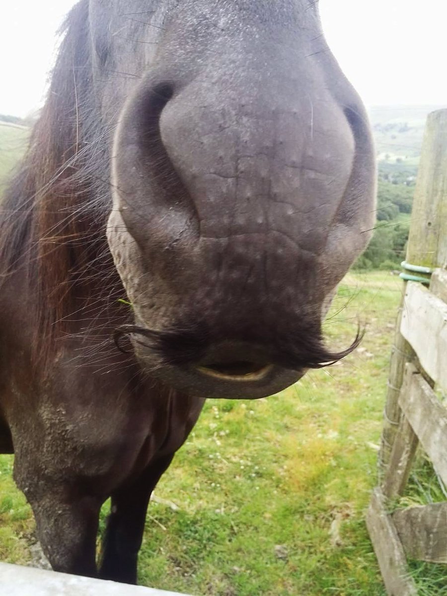 Willbur Wanderlust tweet media