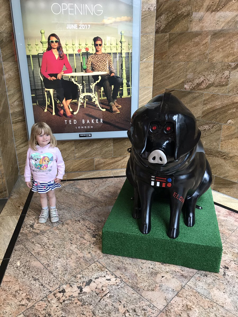 LeeeStone's tweet photo. Nancy has hugged every @hensontrail pig until now, but kept a safe distance from Darth Vader!! https://t.co/a9an2WvBZ8