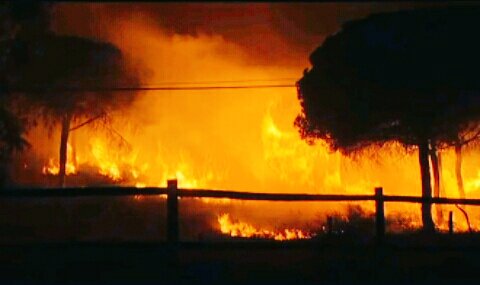 antoniomanuel__'s tweet photo. Quien ha quemado el corazón de Andalucía, no tiene corazón. #Doñana https://t.co/SddRrnX56i