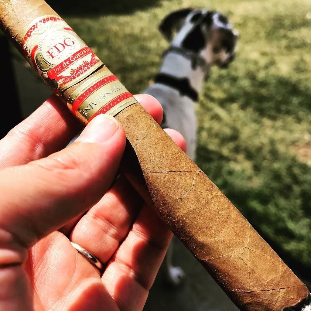 An aged <a href="/fdgcigars/">FDG CIGARS</a> 20th Anniversary for my round two. Smooth as butter. #bcuzcigars ift.tt/2t71Vcd