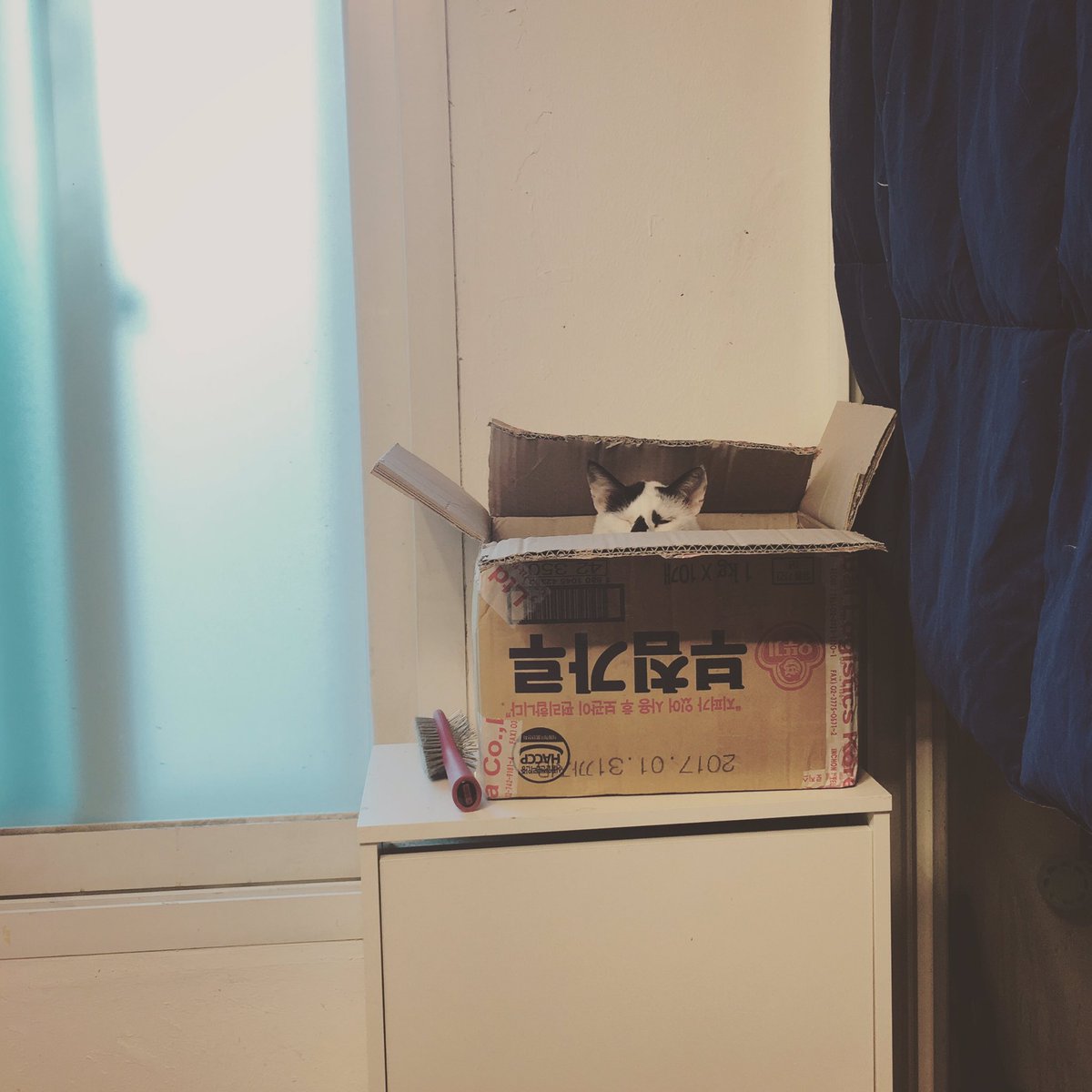 후루룩구루룩 훅끼 🕯️ tweet media