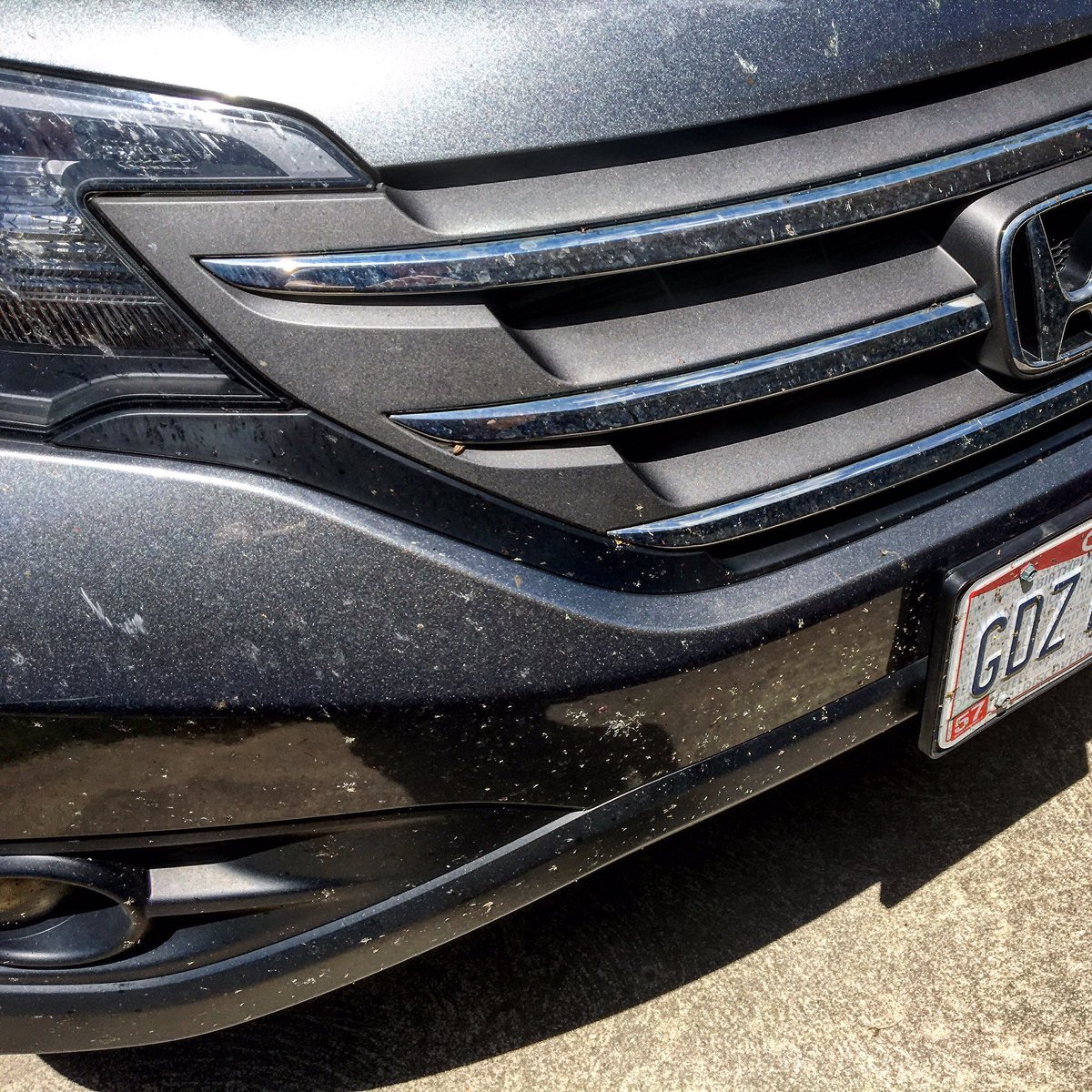 RevChrisHall's tweet photo. This is the battle damage from the bugs we encountered on our round trip to #wichita for #chogcon.
#reclaim2017 https://t.co/4a8UtRafrK