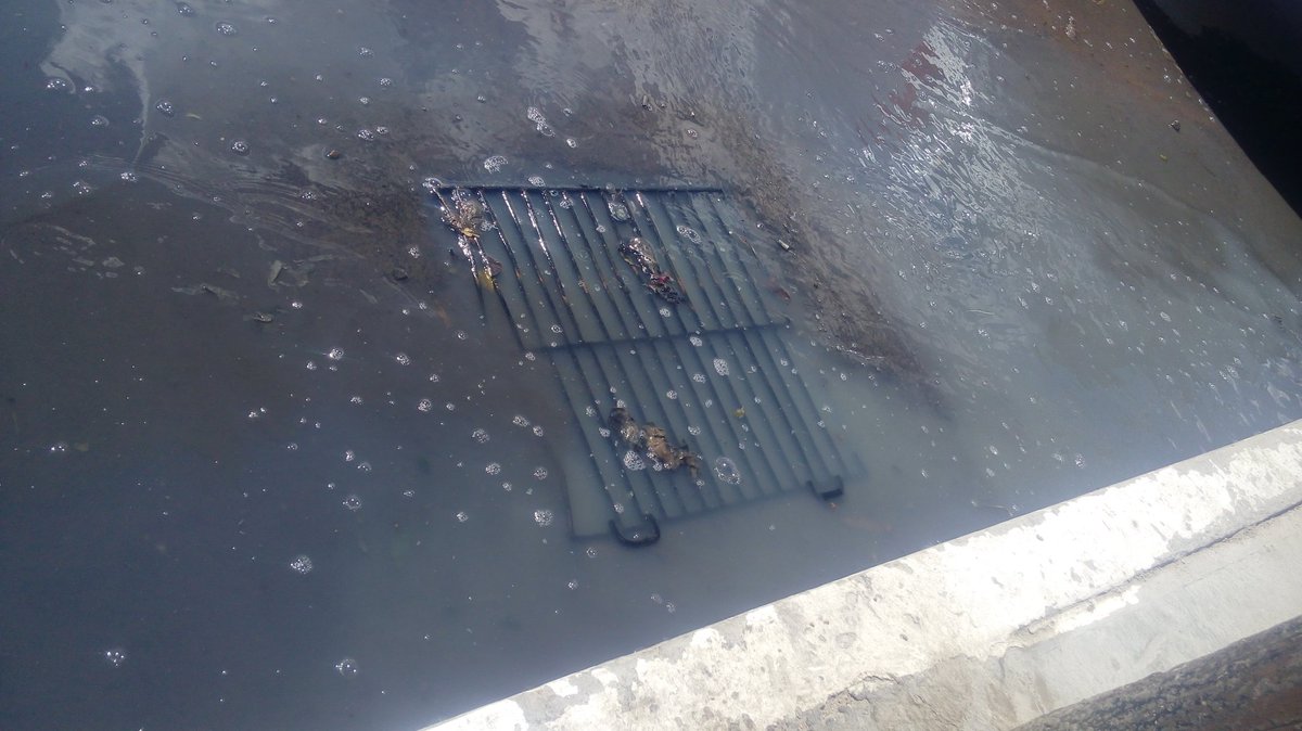 isauradelangel's tweet photo. @AMD_Durango aguas Negras, hay mosquitos, huele horrible Ave. Cuitlahuac esq.Prol. Libertad https://t.co/qKJ9dlN8Nu