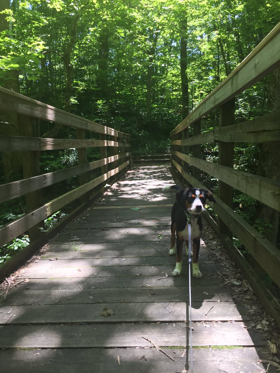 BeauIngle's tweet photo. Beautiful day to explore #FortAncient on the way back to Columbus! Finally got to see the #earthmounds! #Ohiohistory https://t.co/TREXo0KqYB