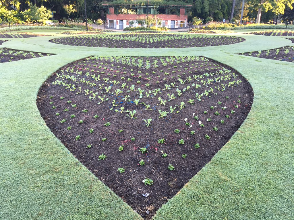 Walking in Brisbane City Botanical Gardens, found a new image for our profile this week