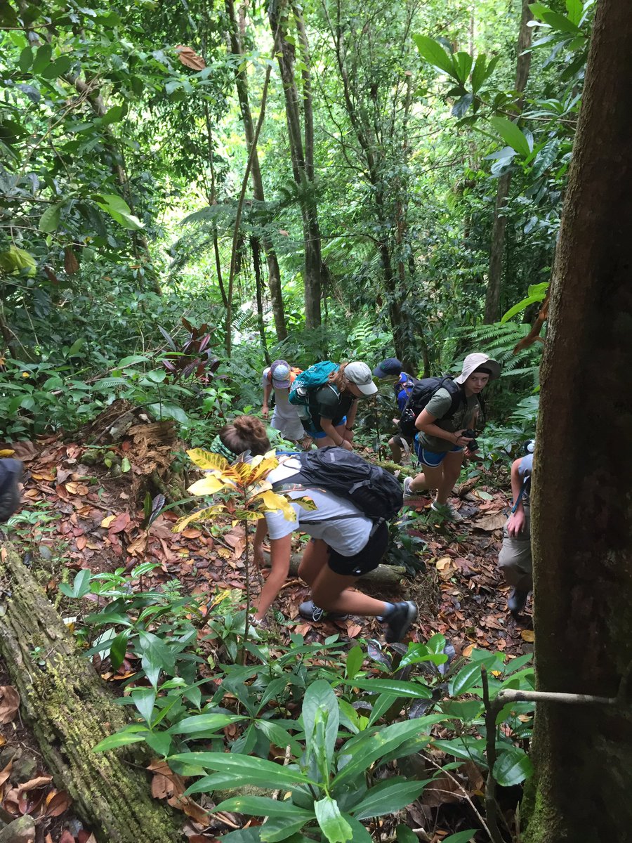 ChaseXiLee's tweet photo. 3 Rivers Ecolodge!!! #Dominica2017 https://t.co/hAwzzTWIur