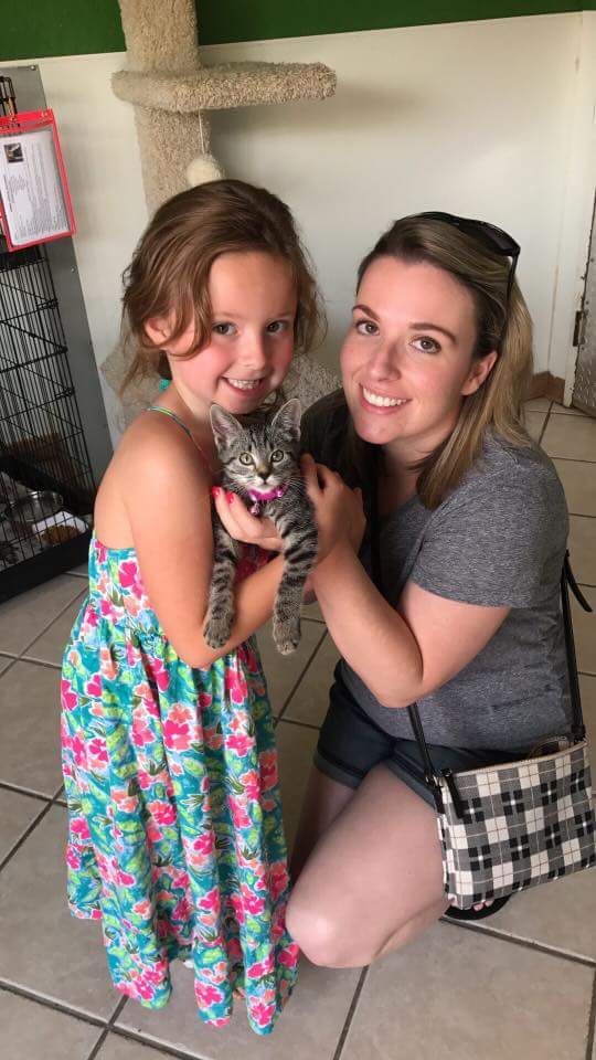 Animal6708's tweet photo. Sweet Shirley and her new family. https://t.co/JUjQiY7xtO