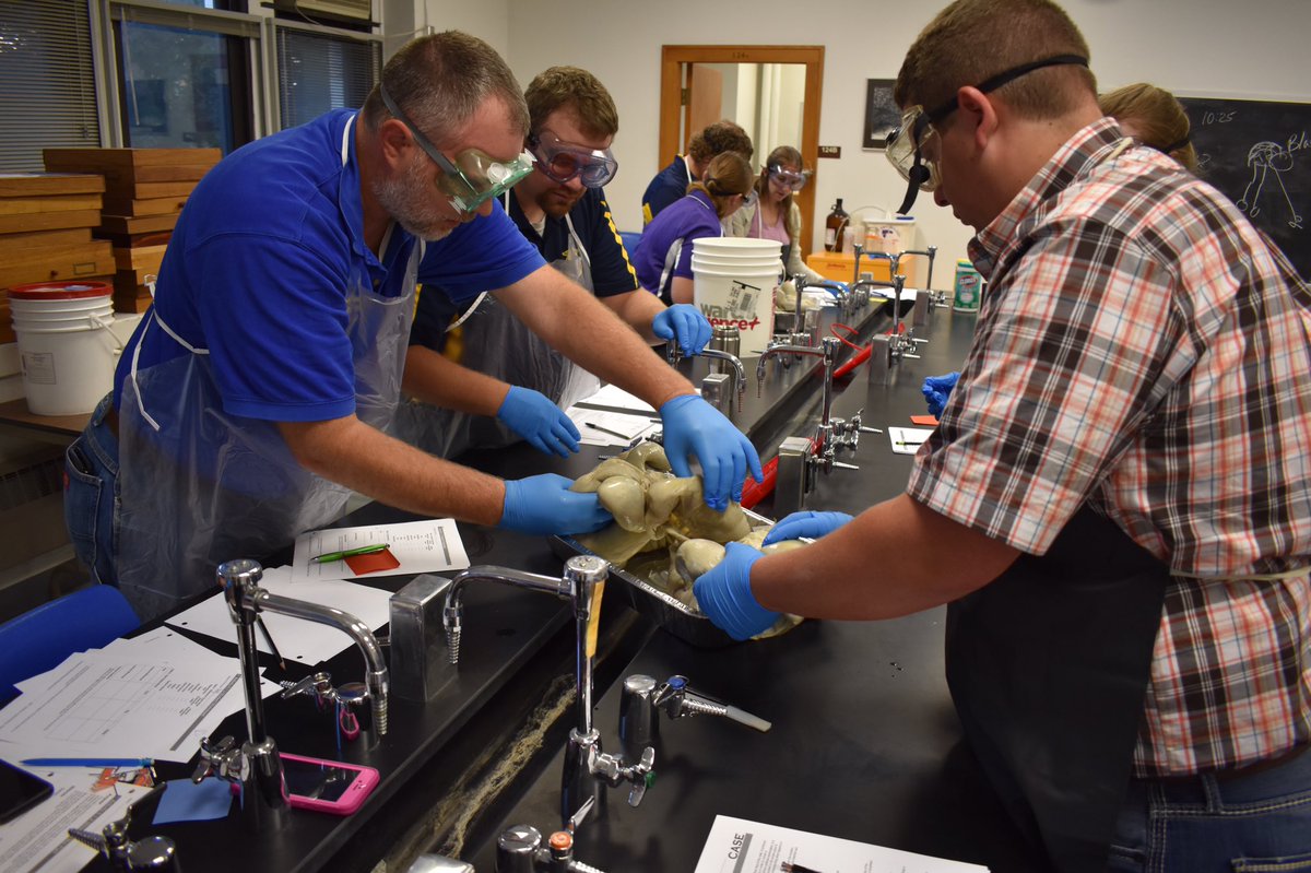 steskildsen's tweet photo. Thank you @case4learning for fast-tracking ASA! Fantastic group of Ag Ts to pilot this!! K-State is an awesome host! #ASAHerd #CASEState https://t.co/dXu1NbIRrd