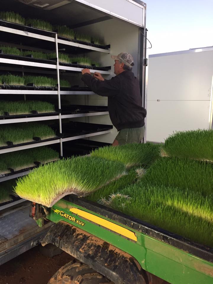 Renee Manning tweet media