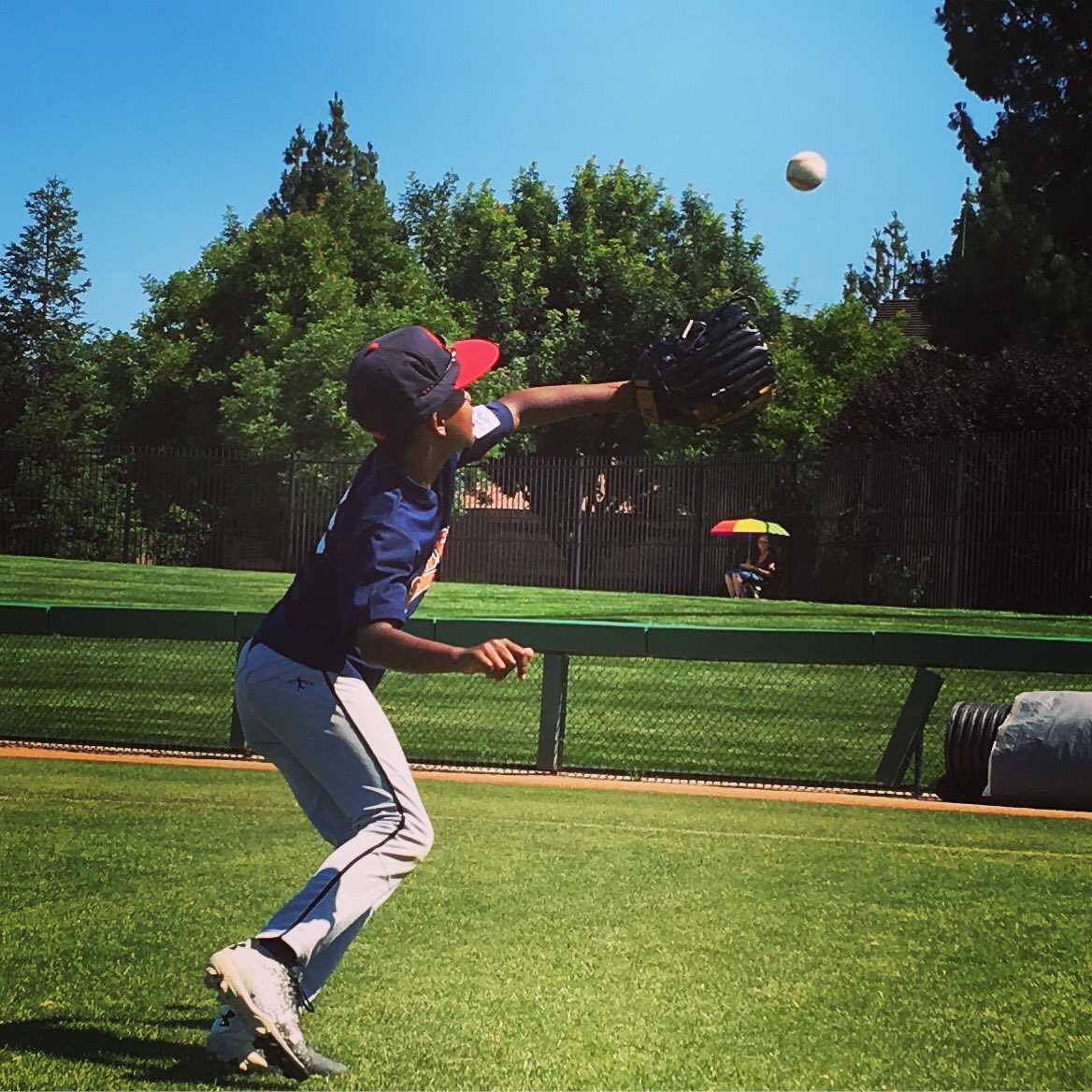 UOP Baseball Camps tweet media