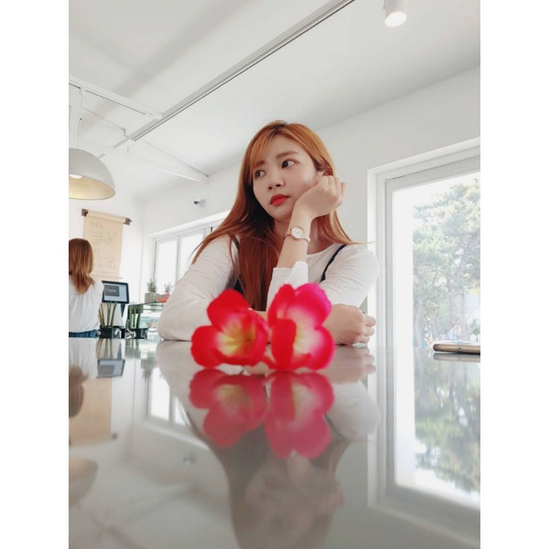 LaboumPeruFC's tweet photo. 【INSTAGRAM • 25.06.17】 Haein's Instagram Update
[TRAD] #Buen #SentidoDe #MiHermano #QueTomó #Fotos #DeUna #Flor... https://t.co/npbh4WFfSc https://t.co/N3tCOHlCTk