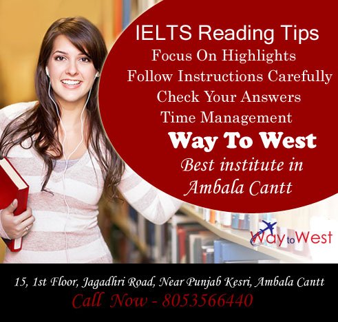 IELTS Reading Tips
