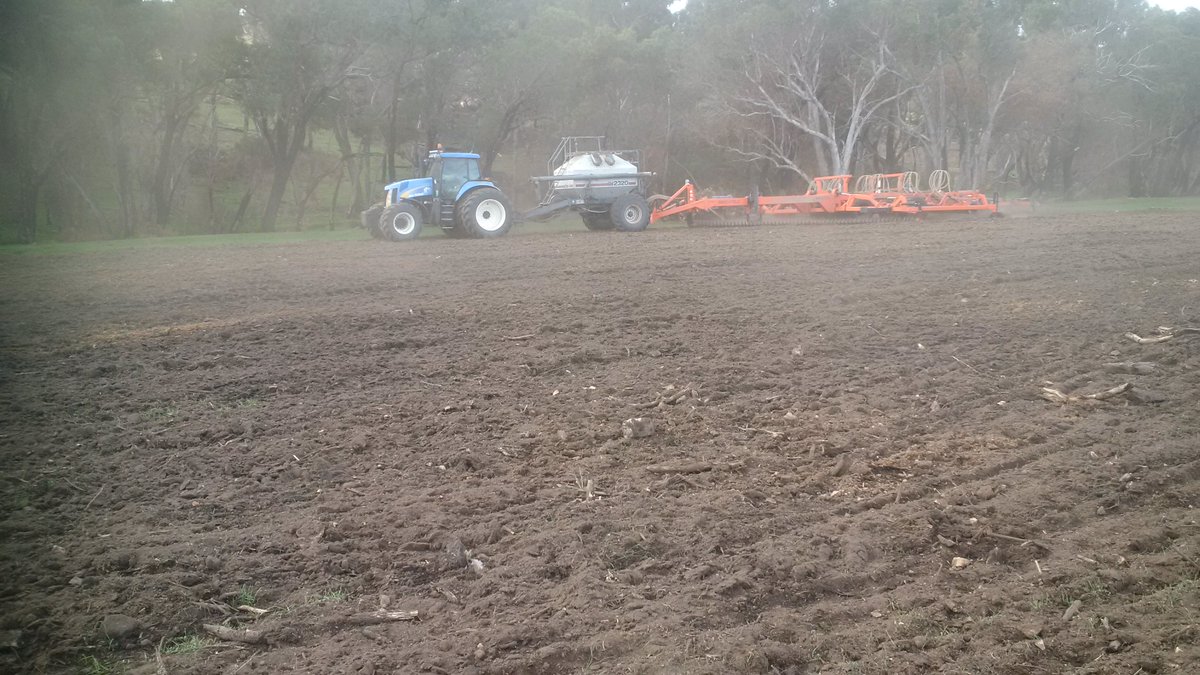 Brookfield_Ag's tweet photo. Seeding at Bridgetown WA with Brookfield SuperDrill #plant17 #SuperDrill https://t.co/6JsJOU5LZj