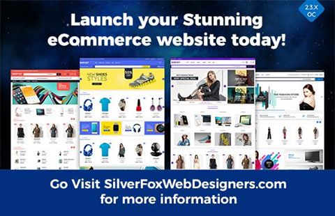 SilverFox™ (@SilverFoxTM) / Posts / X