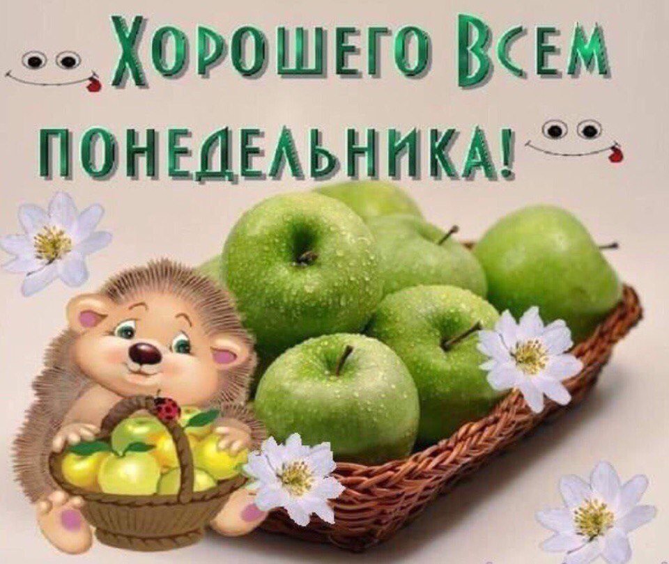 Понедельник прикольные открытки, картинки зеленых