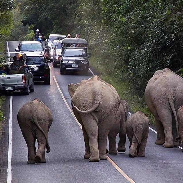 TourLiberiaP's tweet photo. @wawinaApr 😍 👍🏽Travel with all families.. https://t.co/oMRiwc2YKi