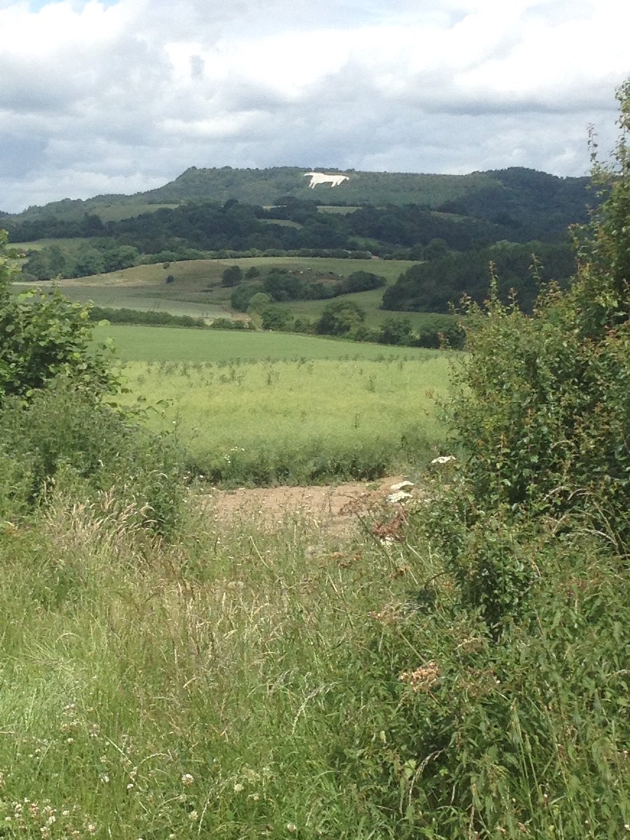 Job done this morning, time for a quick snap at Kilburn.

#northyorkmoors <a href="/KilburnHorse/">Kilburn White Horse</a>