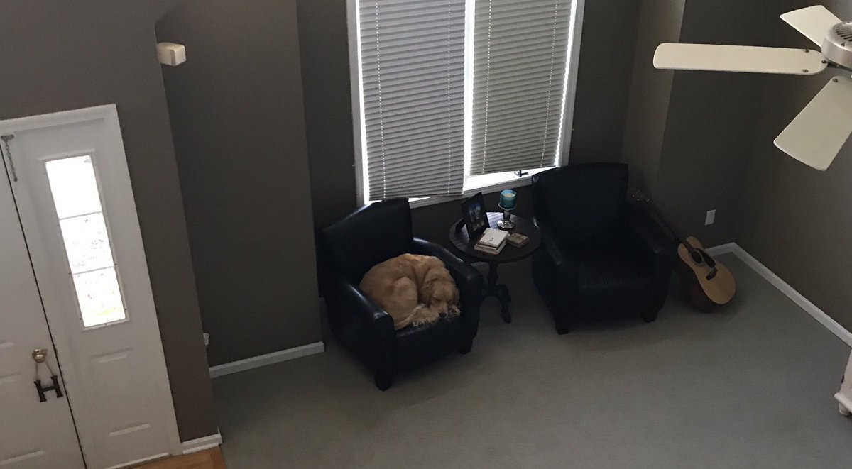 GusTheGolden's tweet photo. Because I work hard every day! (At being lazy). https://t.co/0FujPzPkIm