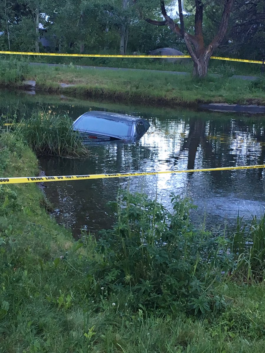 daniel halper tweet media