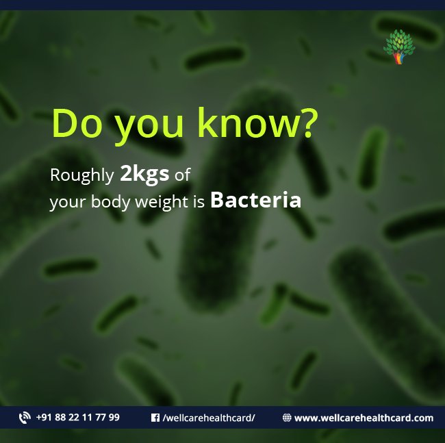 WellCareCard's tweet photo. Do you know?
#healthtips #healthy #healthylife #fitness #healthcare #health 
#wellcarehealthcard #HealthCard #MedicalcareCard https://t.co/RpONSH2Gsu