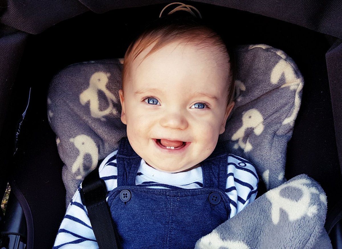 I can't say how much Potter has influenced my life. You'd have to ask my son, Eli-Daniel Albus James about that... #HarryPotter20