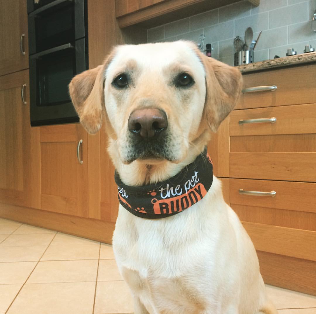 Cotswold Keswick tweet media