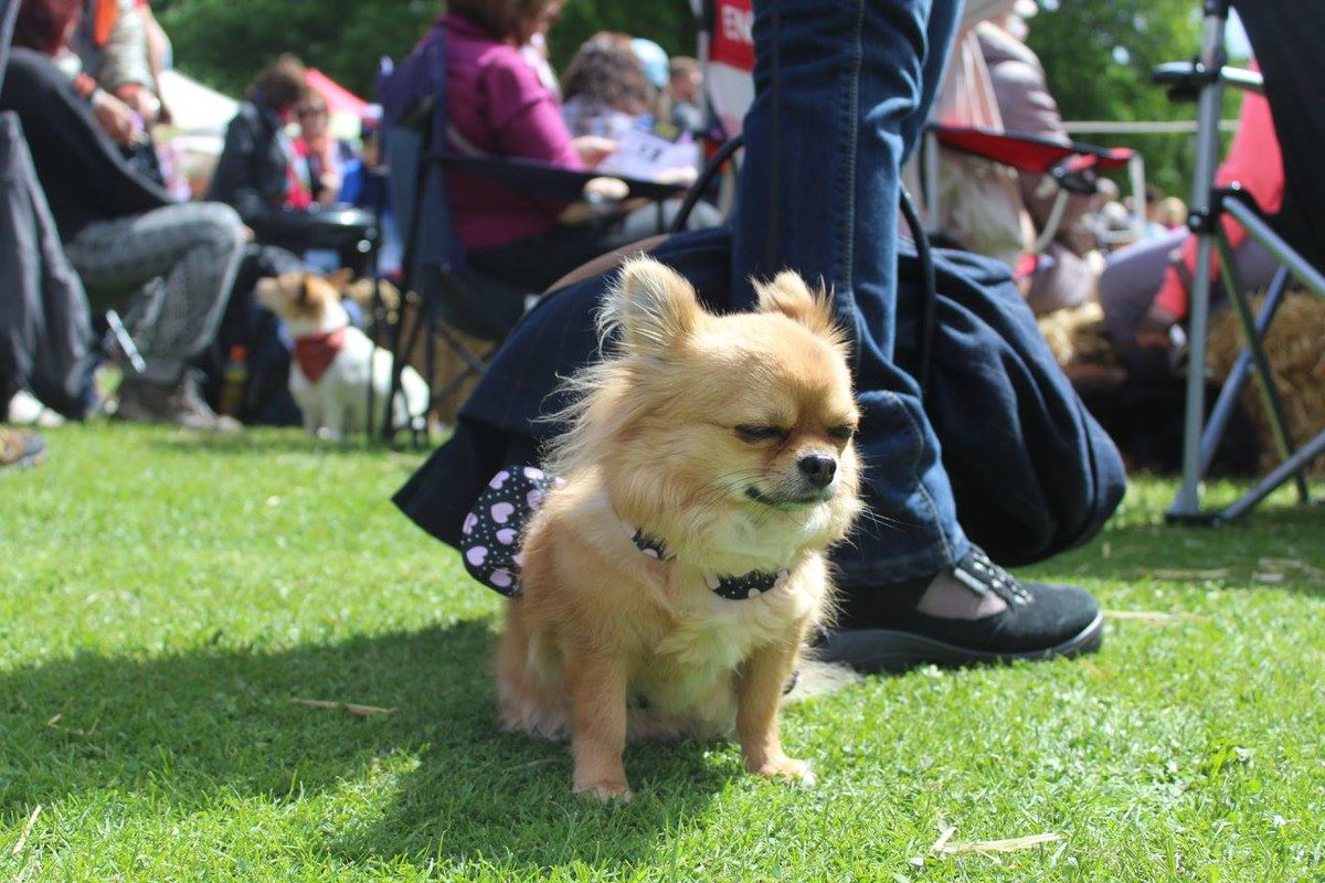 Cotswold Keswick tweet media