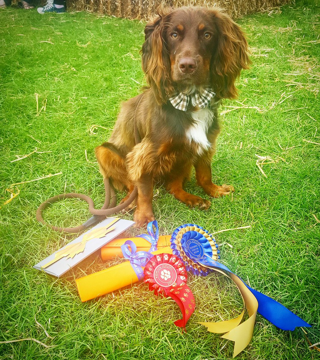 Cotswold Keswick tweet media