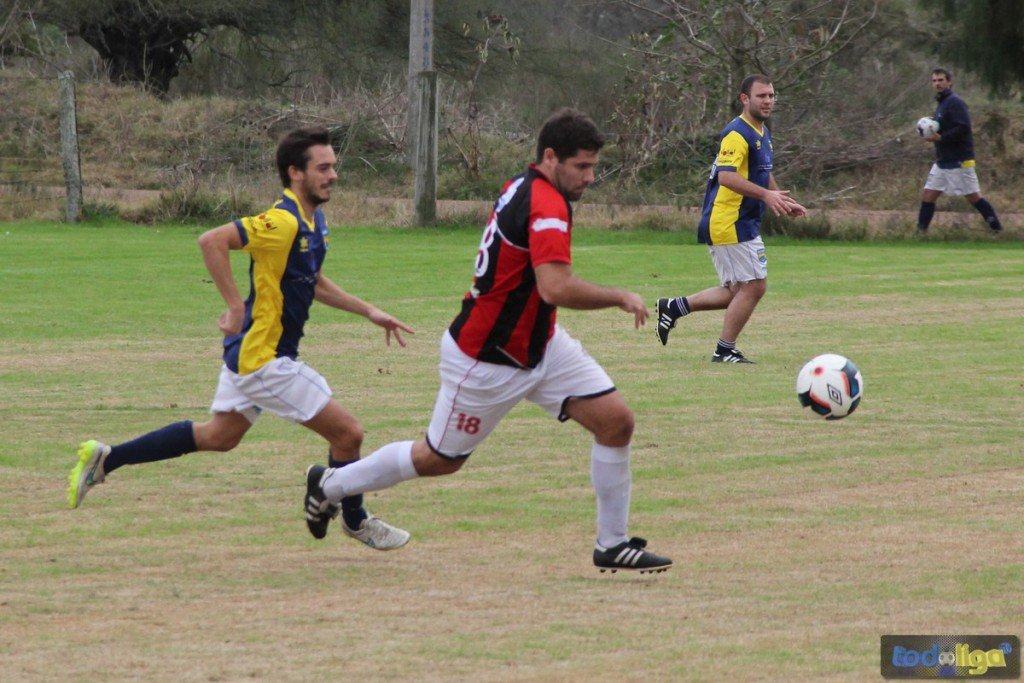 TodoligaTV tweet media