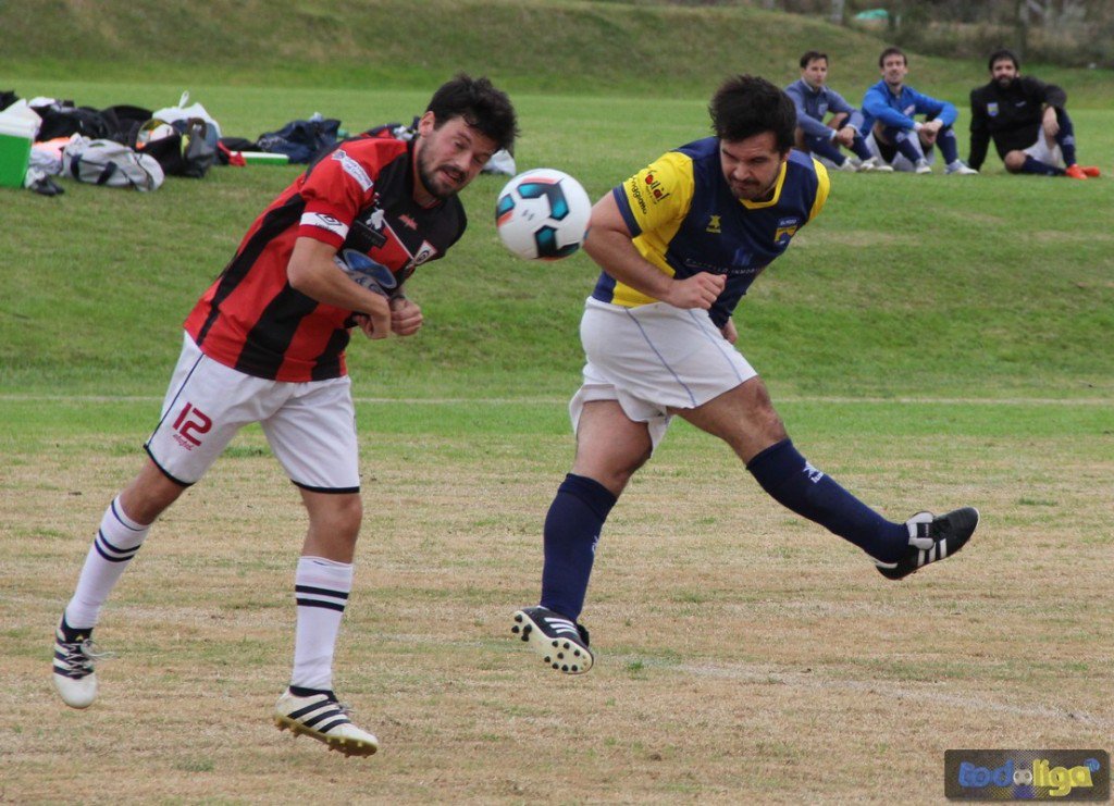 TodoligaTV tweet media