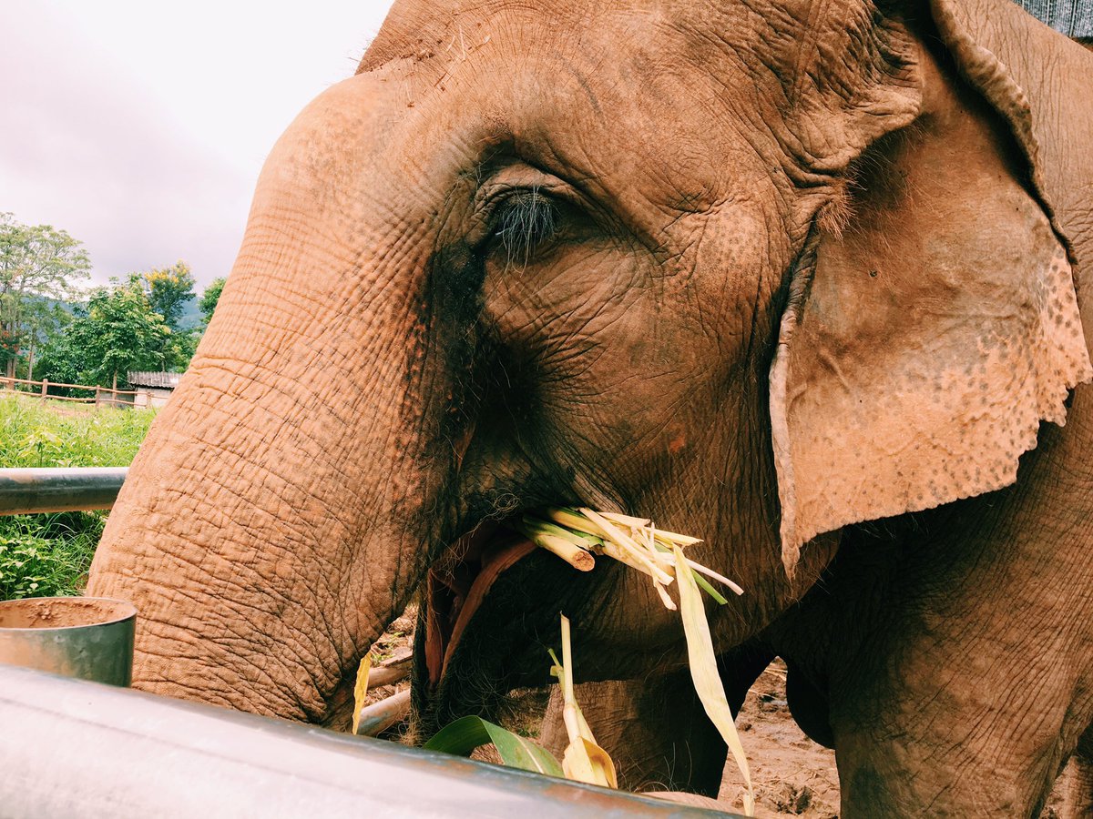 ayxtina's tweet photo. my heart hurts.. i miss thailand https://t.co/EqVXsIv57w