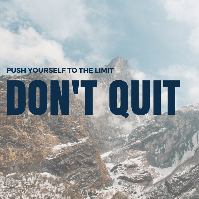 Gravity Vault tweet media