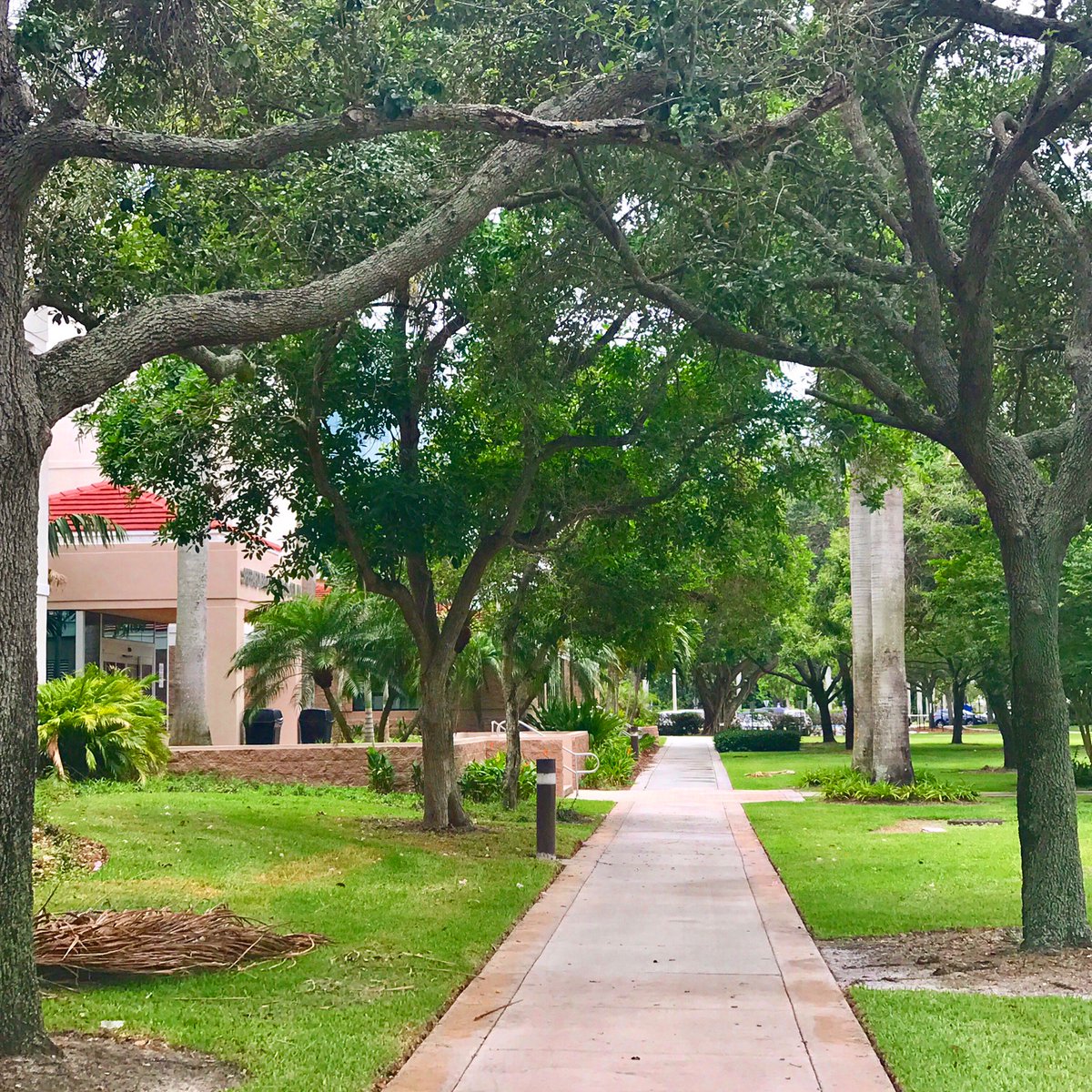 #MotivationMonday “Ambition is the path to success. Persistence is the vehicle you arrive in.” Bill Bradley