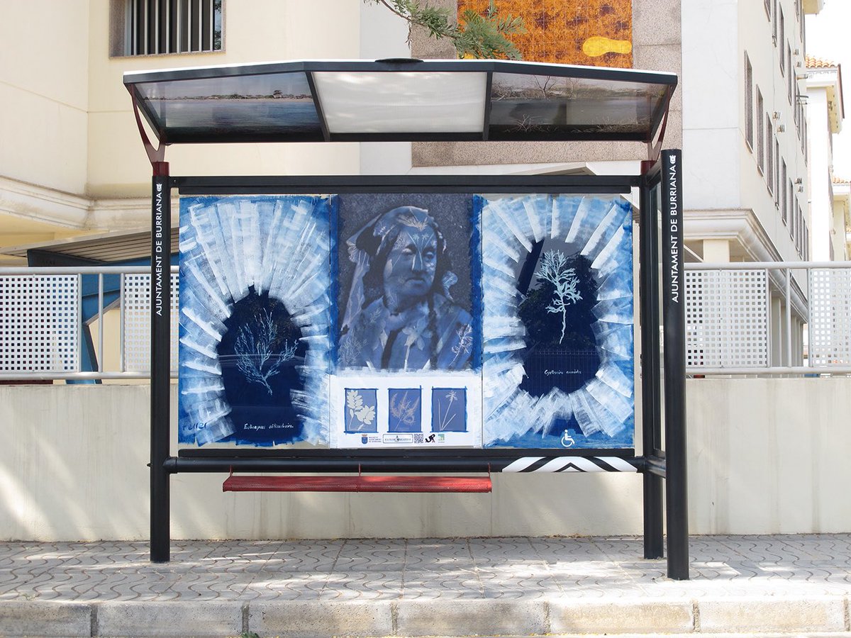 CreativoElixir's tweet photo. Nueva intervención de Arte Urbano realizada por Jose Ferrer!  Anna Atkins la primera mujer fotógrafa.#ArtDePas #BorrianaCultura #R3Recymed https://t.co/dHrZLExraA