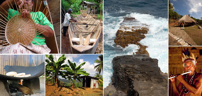 Waitukubuli National Trail Segment 6 is not just a hike, it's an education #Dominica #travel facebook.com/HikeIntoDomini…