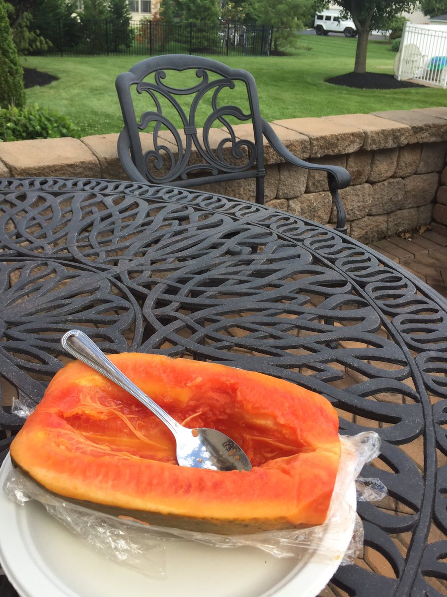 GJerrel's tweet photo. How do you eat your papaya? I love eating mine with a spoon #health #vegan #fruits #exotic #lifestyle #fitness #foodie #yummy #summer #love https://t.co/rvEbUfgtwo