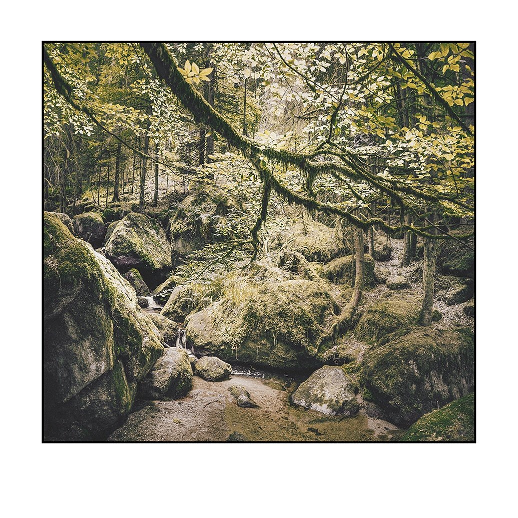 marckoeschinger's tweet photo. #caspardavidfriedrich #ludwigrichter #koeschinger #sony #sonyalphaclub #natgeo #adobe #chipfotovideomagazin #natgeo https://t.co/POaU425dwG https://t.co/8T2PP0VjxZ