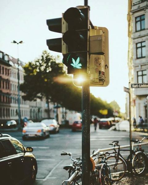 lamotagrow's tweet photo. Vía libre para el #cannabis. ¡Que vaya circulando la #regulación y la #legalización! https://t.co/mytoNx5q9q