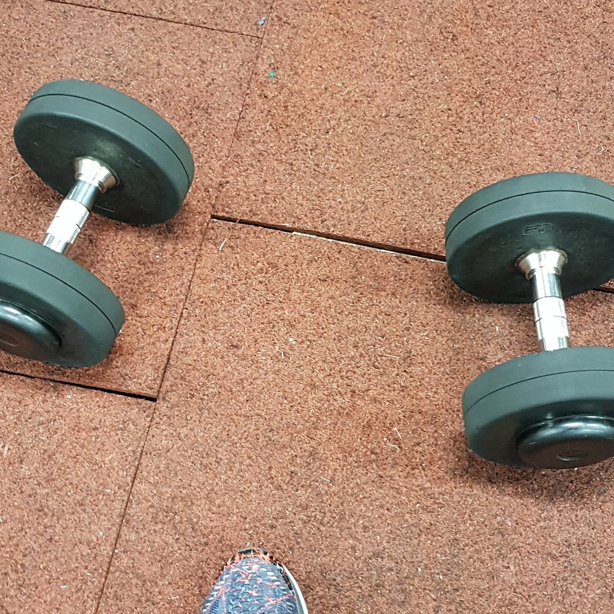 Shdw_Assassin's tweet photo. @TheDumbbells Another day, another do...d....dumbbell! #gymlyf #hotasthesand #bigastheocean #picsoritdidnthappen https://t.co/MUxewN0KMH