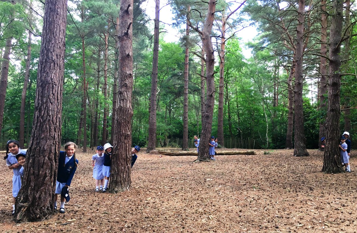 CFS_PrePrep's tweet photo. Exploring the forest @Surreyheath Lightwater Country Park. #CFSY2 being a little elusive. https://t.co/IFL6vct7PC https://t.co/rAHH6WM27j