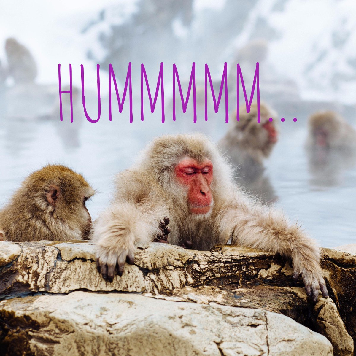 HumOnApp's tweet image. Everyone has their own humming spot. Where is yours?
#HumOn #letyourvoicecompose #lyvc #musicapp