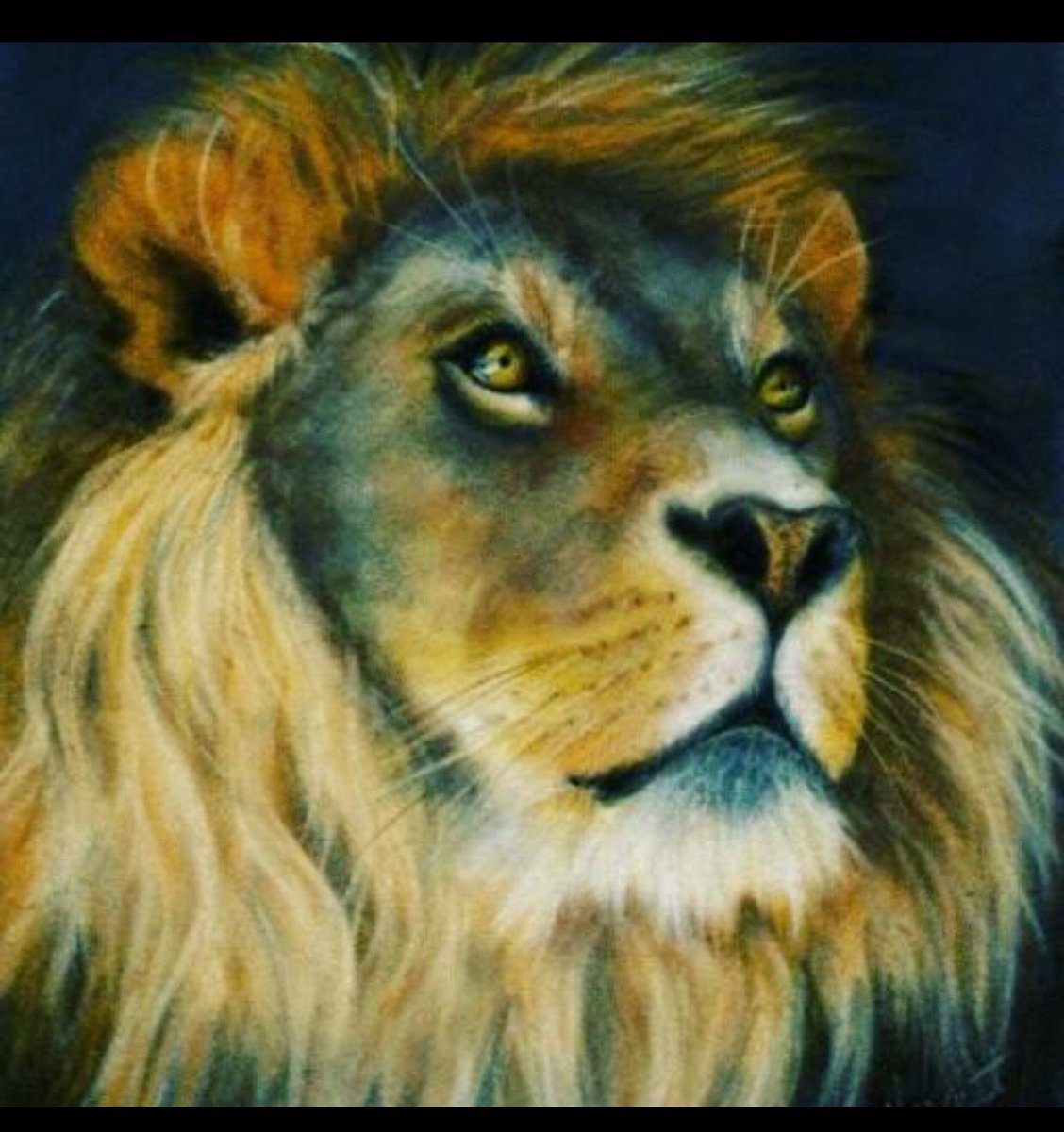 HhtVfilm's tweet photo. #ViPublic "Expanding great businesses globally!" 👑💡 #VerticalIntegrationPublic https://t.co/WqmCHGRlEV