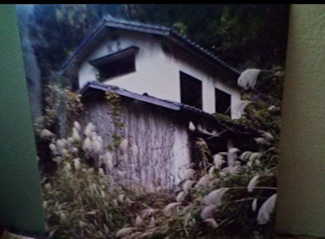 じゃす 猫love Twitterren 山口県光市 七軒家 七つの家 随分昔に行きました じゃす 猫love Twitterren 山口県光市 七軒家 七つの家 随分昔に行きました
