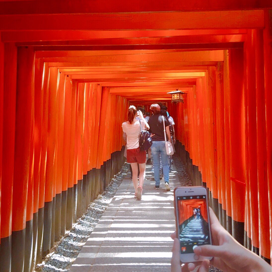 tomates_japan's tweet photo. Beautiful Kyoto! #京都 #神社 #伏見稻荷大社 #鳥居 #千本鳥居 #교토 #일본 #교토여행 #여우신사 #후시미이나리 #Kyoto #Japan #Shrine #Fushimiinari #Torii #MemoirsofaGeisha https://t.co/d5JbKIbopy