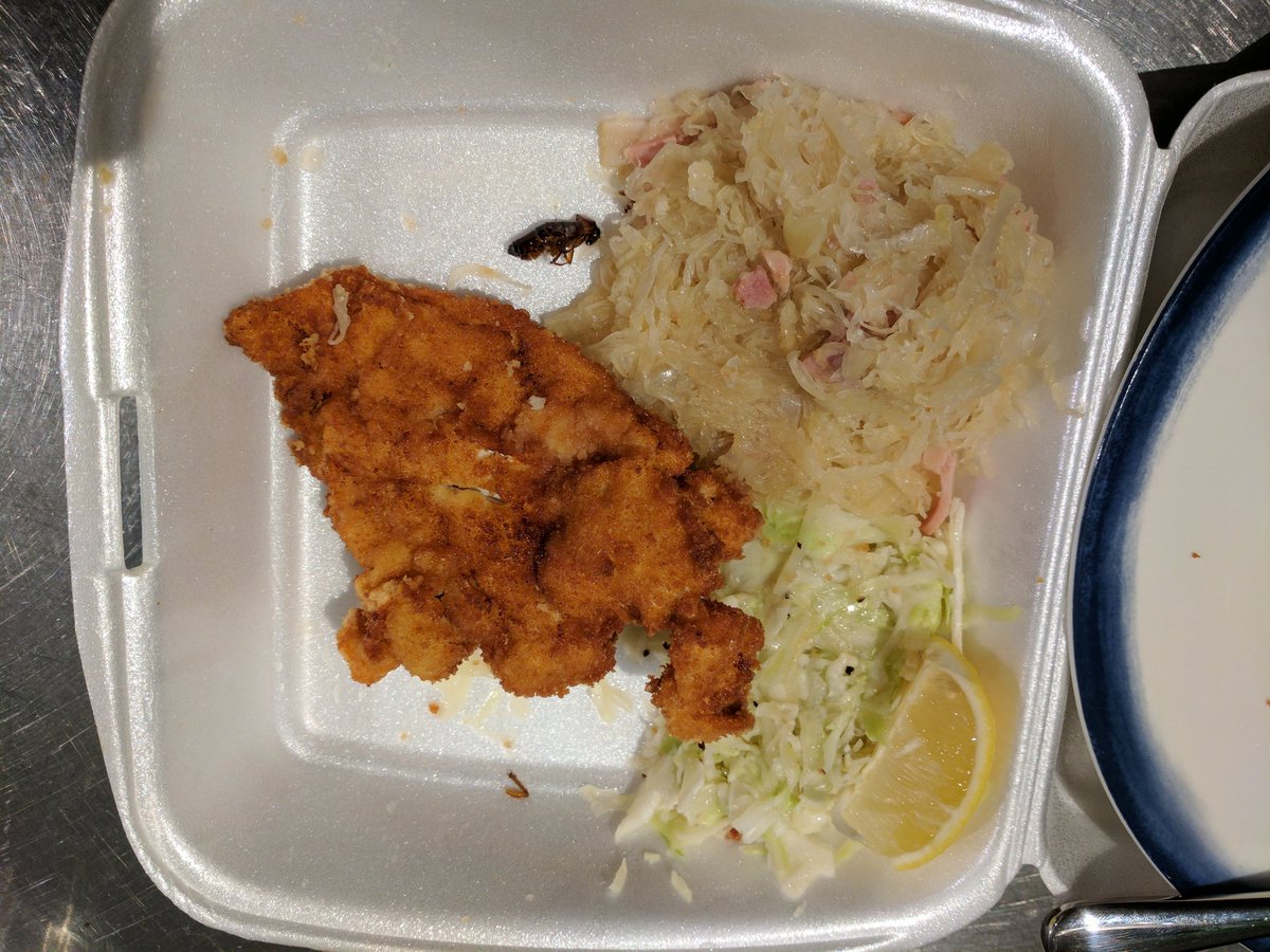 adriang's tweet photo. My #deliveroo order tonight from Una's Restaurant in Darlinghurst. Fully cooked cockroach and all they offer is a $60 credit. https://t.co/v8vaWUeV1d