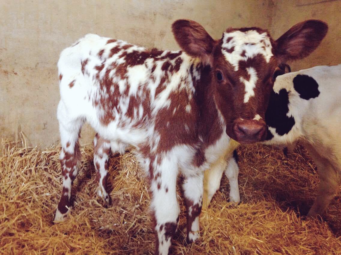 Wonny_108's tweet photo. She is my beautiful little girl, hopefully I can show her this year 👌🏻👍🏻🎉💃🏼 https://t.co/jDtBgUKU0P
